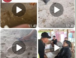 Diduga APH Tutup Mata: Wartawan Diintimidasi di Tambang Emas Ilegal Ketapang