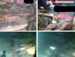 Tambang Emas Ilegal di Perbatasan Singkawang-Bengkayang Renggut Dua Nyawa