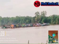 PETI di Sintang Semakin Menggila, Imbauan Kapolda Kalbar Seakan Tidak Bertaji