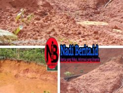 Diduga Ilegal, Kuari Galian C Milik Kades Batu Nanta, Kecamatan Belimbing, Melawi Dipertanyakan