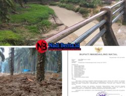 Tambang Emas Ilegal Dusun Batang Lobung Lingga Bayu Diduga Kebal Hukum