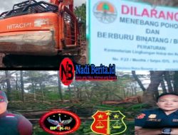 Pembabatan Hutan Mangrove di Desa Sebubus, Kecamatan Paloh, Kabupaten Sambas: Diduga GAKKUM KLHK Kalimantan Tutup Mata