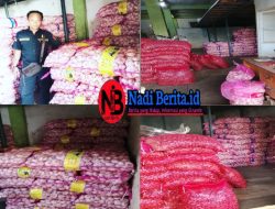 Distribusi Bawang Putih Merek Panda di Jl. Budi Karya Diduga Tak Berizin, Pemilik Inisal AS, Tim Gabungan Lakukan Penelusuran