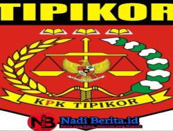 LP KPK TIPIKOR Pertanyakan Alasan Inspektorat Kubu Raya Menyebut PROVOKATIF Atas Laporan Permohonan Dugaan LPKj Kades Seruat yang Fiktif Ke Polres Kubu Raya