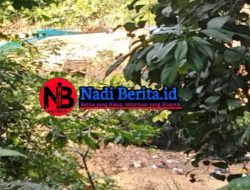 PETI Aek Sigala-gala Mandailing Natal Diduga Kebal Hukum, Excavator dan Dompeng Terus Beroperasi Tanpa Tindakan Tegas