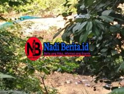 Kanit Reskrim Sebut Ada TNI di Balik Aktivitas PETI Aek Sigala-gala: Abang Beritakan Aja !!!