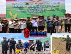 Ketua DPW Kalbar FRI Center Prop. Kalbar Hadiri Penanaman Jagung Kuartal IV Serentak di Lahan Polres Melawi