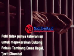 Razia Tambang Emas Ilegal (PETI) di Kabupaten Bengkayang Diduga Menumbalkan Seorang Warga SEKEDAR CARI MAKAN