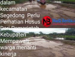Warga Peniti Dalam 2 Geram: Jalan Rusak Parah Tak Kunjung Diperbaiki, Janji Pembangunan Hanya Retorika Politik?