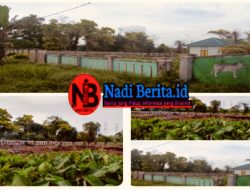 Miris: Diduga Proyek Siluman dan Sarat Korupsi, Dikerjakan Senyap Tanpa Transparansi, Proyek Pagar Pemotongan Sapi di Pontianak, Dinas/Pemerintah/APH Bungkam !!!