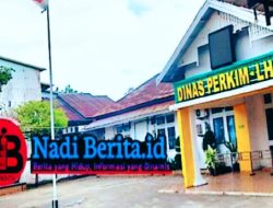 Dugaan Skandal Jual Beli Proyek Dinas Perkim LH Ketapang: AR Sebagai Figur Sentral