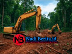 Ekskavator Beroperasi di Hutan Lindung Nanga Tampang, Warga Curiga Ada Aktor Kuat di Balik SMT