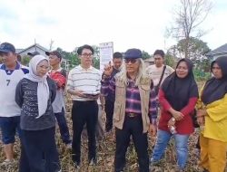 Warga vs Penggugat: Pertarungan Hukum di Lahan 11 Ribu Meter Persegi