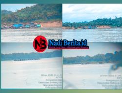 Diduga 9 Naga Sungai Ayak Kendalikan PETI di Sekadau: Miris Nasib Para Pekerja Tambang Emas Ilegal Dijadikan Tumbal, Yang Tidak Setor Justru Ditangkap
