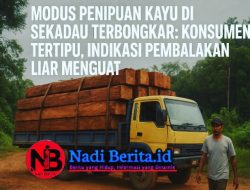 Praktik Kotor Perdagangan Kayu Terungkap: Pengusaha Sekadau Diduga Kirim Kayu Ilegal Berkedok Belian