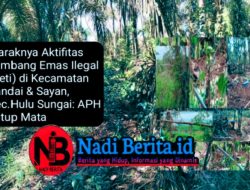 Diduga Praktik Illegal Logging di Desa Bukit Batu, Sungai Kunyit: Kebal Hukum, Lemahnya Pengawasan, dan Sorotan BP3K RI