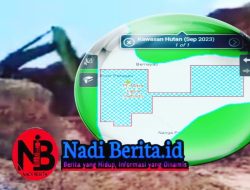 Dekat Kawasan Hutan, Aktivitas Tambang PT. MKS Bernayau Picu Kekhawatiran Warga