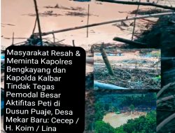 Masyarakat Meminta Kapolres dan Kapolda Tangkap dan Tindak Cecep CS Pemodal Utama PETI di Dusun Puaje, Desa Mekar Baru, Bengkayang