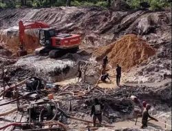 Tambang Kepala Burung Disorot: Dugaan Bagi-Bagi Blok, Aparat Turun Nambang hingga Timah Rawan Diselewengkan