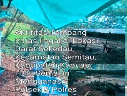Aktifitas PETI di Desa Sekedau 2, Kecamatan Semitau Semakin Menggila: Merusak Lingkungan, Mengancam Masyarakat, dan Diduga Dibekingi Aparat !!!