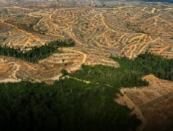 Ada apa dengan semua ini ,  Sehingga Pemerintah Pusat Ragu Menetap kan Bencana Sumatra,Aceh Bencana Nasional.