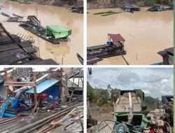 PETI Ilegal Kian Marak, Penegakan Hukum Dinilai Lemah