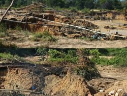 Pak Kapolres dan Pak Kapolda: Tangkap Cecep dan Pajin, Pemodal PETI dan Penerima UPETI, Otak Pelaku Utama Dusun Puaje, Kebal Hukum