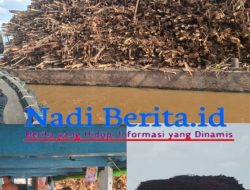 Tongkang Bermuatan Kayu Akasia Diduga Over Kapasitas, Tersangkut Di Kaki Jembatan Landak, Izin Habis, Tim BPJN, Hitung Kerugian