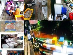 Nelayan Pesisir Sungai Kakap Tetap Produktif di Tengah Tantangan Cuaca dan Dinamika Ekonomi