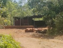 Diduga Pembalakan Hutan Tanpa Izin di Dusun HTI, Warga Minta APH Jangan Tutup Mata