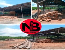 Pengelolaan Kayu Ilegal Didesa Sungai Pangkalan II, Kecamatan Sungai Raya Diduga Dikelola BD: Aparat Diminta Tindak Tegas Jangan Diam