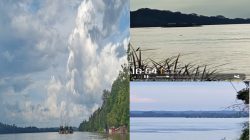 PETI di Sungai Kapuas Sekadau Hilir Terkuak: Oknum DPRD Sekadau Inisial H Diduga Terlibat, Sikap Kapolres di pertanyakan ???