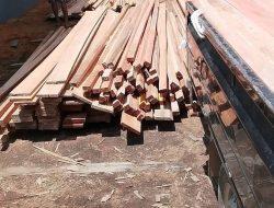 Viral di Facebook, Kayu Diduga Tanpa Dokumen Resmi Disorot Publik