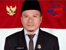 Ketua Komisi IV DPRD Madina Buka Suara soal Sengketa Informasi Desa, Salman Desak PMD dan Inspektorat Bergerak