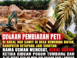 Dugaan Pembiaran PETI di Areal HGU Sawit Ketapang Jadi Sorotan: Nama Usman Mencuat, Kebal Hukum: Ketika Ribuan Pohon Tumbang dan Alat Berat Seolah Menjadi Bagian dari Lanskap