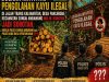 Dugaan Aktivitas Pengolahan Kayu Ilegal di Kecamatan Sungai Ambawang Jadi Sorotan, Kinerja Polsek dan Polres Kubu Raya Dipertanyakan !!!!