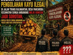 Dugaan Aktivitas Pengolahan Kayu Ilegal di Kecamatan Sungai Ambawang Jadi Sorotan, Kinerja Polsek dan Polres Kubu Raya Dipertanyakan !!!!
