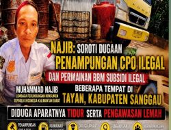 Najib: Soroti Dugaan Penampungan CPO Ilegal dan Permainan BBM Subsidi Ilegal di Tayan, Diduga Aparatnya Tidur serta Pengawasan Lemah