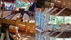 Sawmill di Pancaroba Kubu Raya Disorot, Diduga Belum Miliki Izin Usaha Lengkap