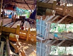 Sawmill di Pancaroba Kubu Raya Disorot, Diduga Belum Miliki Izin Usaha Lengkap
