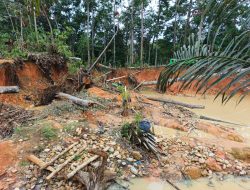 Dugaan Aktivitas PETI Kembali Marak di Nanga Taman Sekadau, inisial KK kordinator lama kembali.