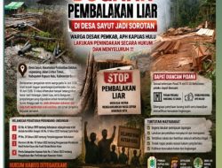 Dugaan Aktivitas Pembalakan Liar di Desa Sayut Kapuas Hulu, Masyarakat Minta Penyelidikan Menyeluruh !!!