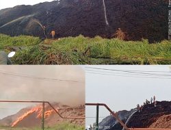 Diduga Akibat Panas Ekstrem, Tangkos Sawit Menggunung di PT BPG Terbakar, Warga: Sudah Lama Kami Ingatkan