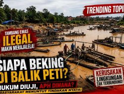 Dugaan PETI di Hilir Tanjung Kembali Jadi Sorotan, Publik Menanti Tindakan Aparat