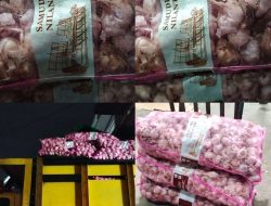 Diduga Bongkar Muat Bawang Putih Impor di Gudang Jalan Siam, Tim Investigasi Minta Aparat Telusuri Legalitas Barang