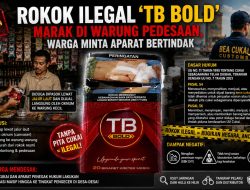 Rokok Ilegal ‘TB BOLD’ Makin Menyebar, Bea Cukai dan Aparat Penegak Hukum Dinilai Kecolongan