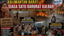 Jeritan Rakyat Makin Memilukan: Kemarau Makin Mencekik, Karhutla Mengancam, Air Bersih Tidak Layak Digunakan — Kemana Pemerintah, Kemana Rakyat Harus Berlindung?