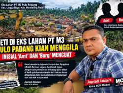 PETI di Eks Lahan PT M3 Pulo Padang Kian Menggila, Inisial ‘Amt’ dan ‘Borg’ Mencuat