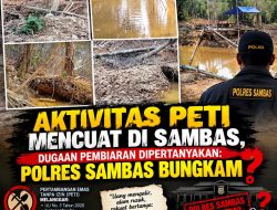 Aktivitas PETI Mencuat di Sambas, Dugaan Pembiaran Dipertanyakan: Polres Sambas Bungkam?