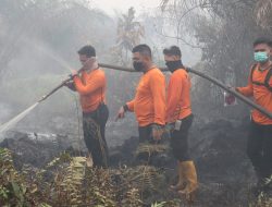 Polres Landak Bersama Tim Gabungan Padamkan Karhutla di Sebangki, Api Jinak Pukul 23.00 WIB